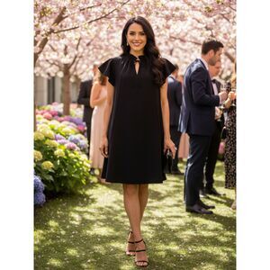 THML Black Shift Dress with Flounce Ruffle Neck & Flutter Sleeves - Size Small